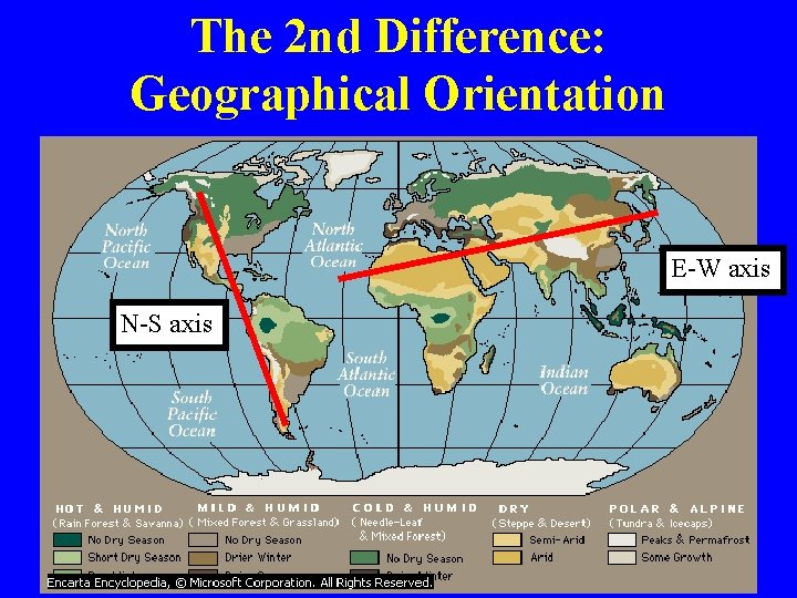 The 2 nd Difference: Geographical Orientation E-W axis N-S axis 
