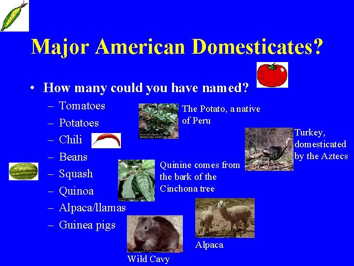 Major American Domesticates? • How many could you have named? – – – –