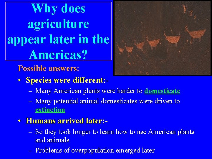 Why does agriculture appear later in the Americas? Possible answers: • Species were different:
