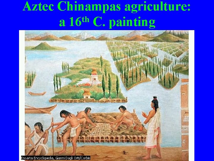 Aztec Chinampas agriculture: a 16 th C. painting 
