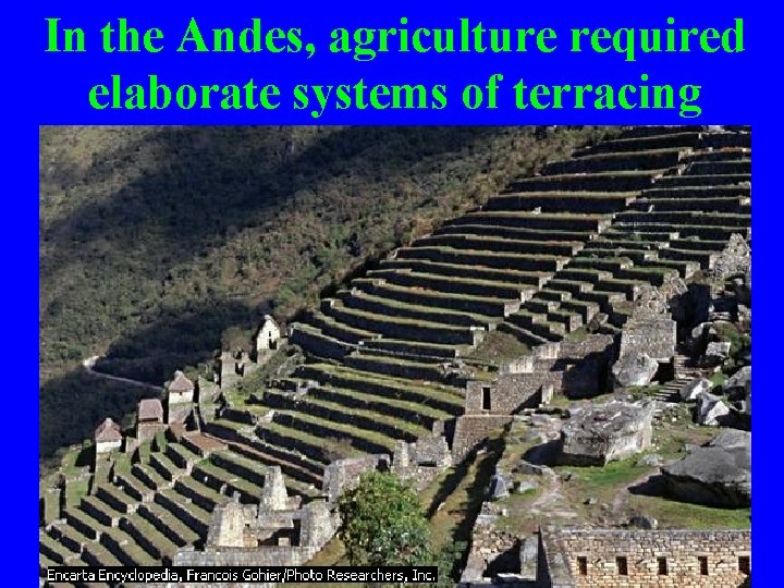In the Andes, agriculture required elaborate systems of terracing 