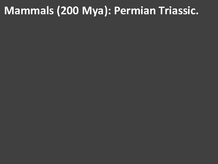 Mammals (200 Mya): Permian Triassic. 