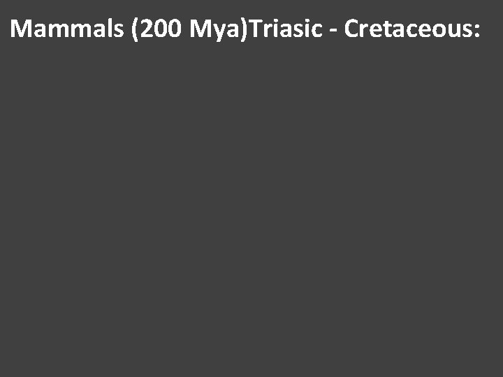 Mammals (200 Mya)Triasic - Cretaceous: 