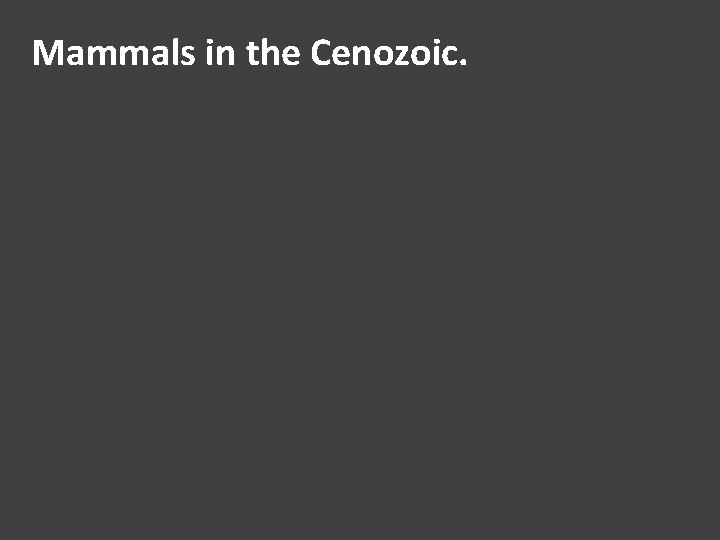 Mammals in the Cenozoic. 