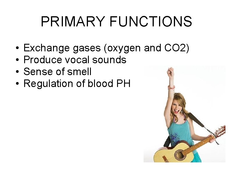 PRIMARY FUNCTIONS • • Exchange gases (oxygen and CO 2) Produce vocal sounds Sense PRIMARY FUNCTIONS • • Exchange gases (oxygen and CO 2) Produce vocal sounds Sense