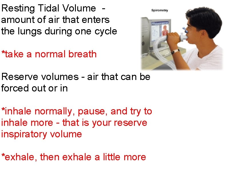 Resting Tidal Volume amount of air that enters the lungs during one cycle *take Resting Tidal Volume amount of air that enters the lungs during one cycle *take