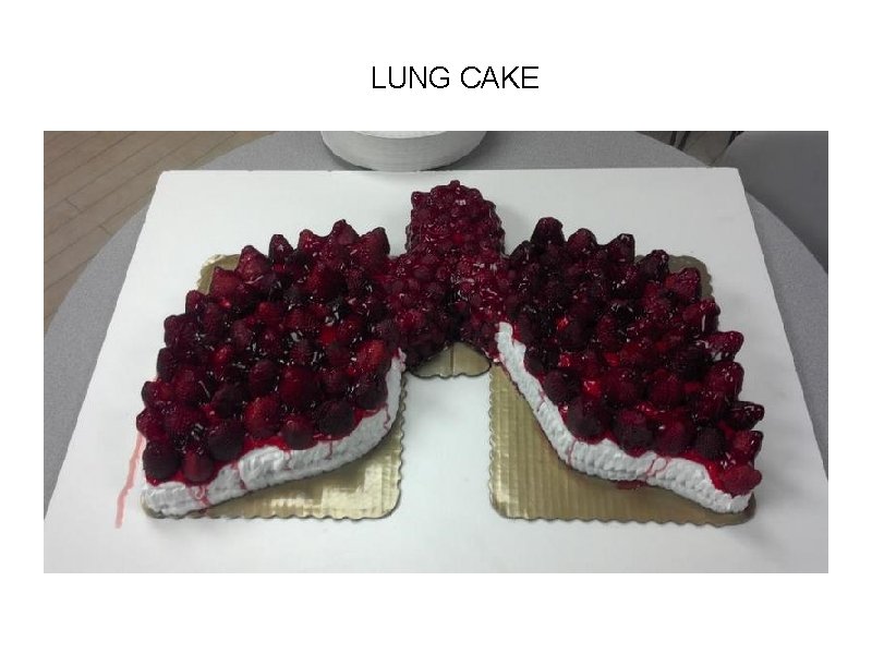 LUNG CAKE LUNG CAKE
