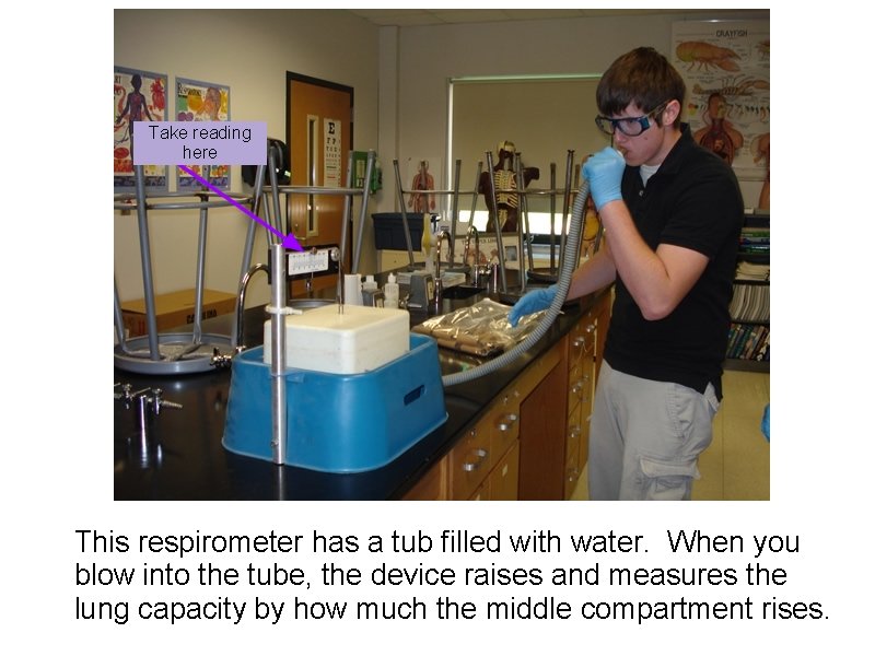 Take reading here This respirometer has a tub filled with water. When you blow Take reading here This respirometer has a tub filled with water. When you blow