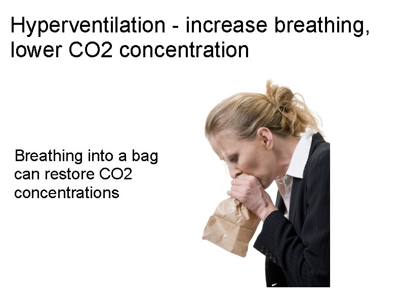 Hyperventilation - increase breathing, lower CO 2 concentration Breathing into a bag can restore Hyperventilation - increase breathing, lower CO 2 concentration Breathing into a bag can restore