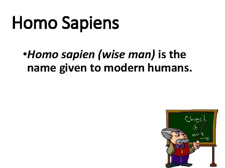Homo Sapiens • Homo sapien (wise man) is the name given to modern humans.