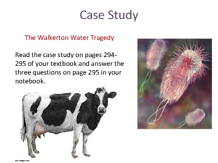 Case Study The Walkerton Water Tragedy Read the case study on pages 294295 of