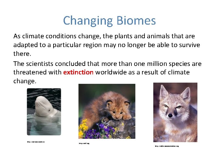 Changing Biomes As climate conditions change, the plants and animals that are adapted to