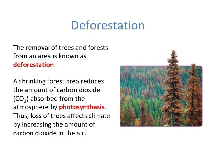 Deforestation The removal of trees and forests from an area is known as deforestation.