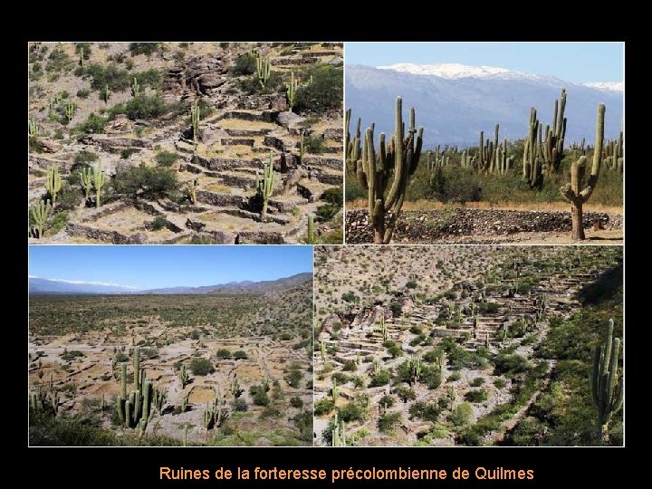 Ruines de la forteresse précolombienne de Quilmes 