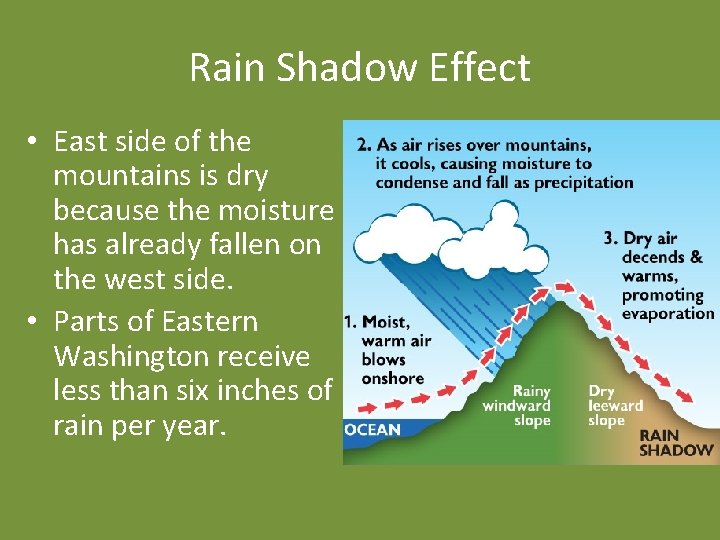 Rain Shadow Effect • East side of the mountains is dry because the moisture