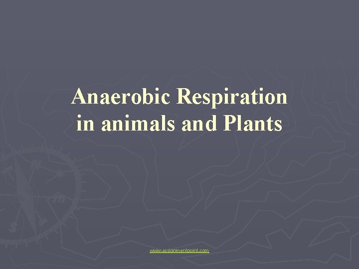 Anaerobic Respiration in animals and Plants www. assignmentpoint. com 