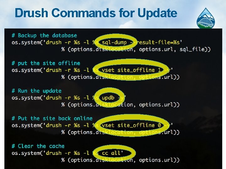 Drush Commands for Update 