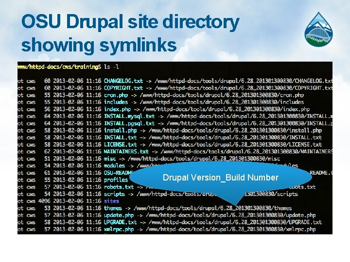 OSU Drupal site directory showing symlinks Drupal Version_Build Number 