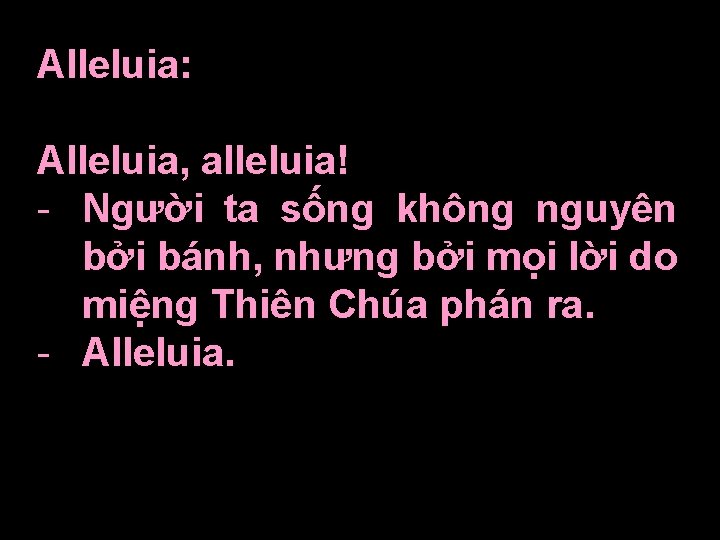 Alleluia: Alleluia, alleluia! - Người ta sống không nguyên bởi bánh, nhưng bởi mọi