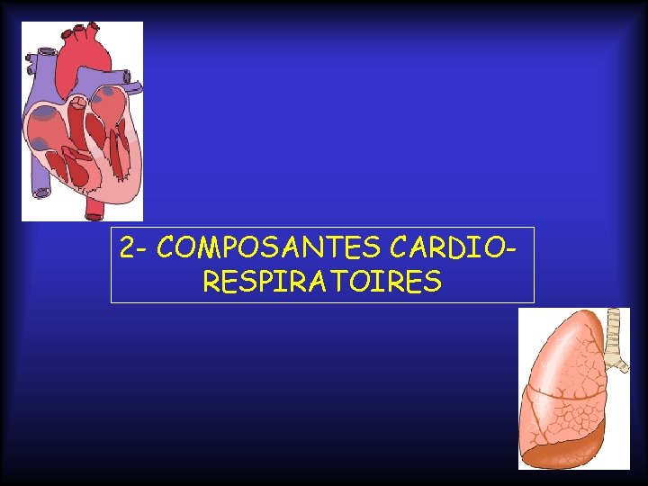 2 - COMPOSANTES CARDIORESPIRATOIRES 