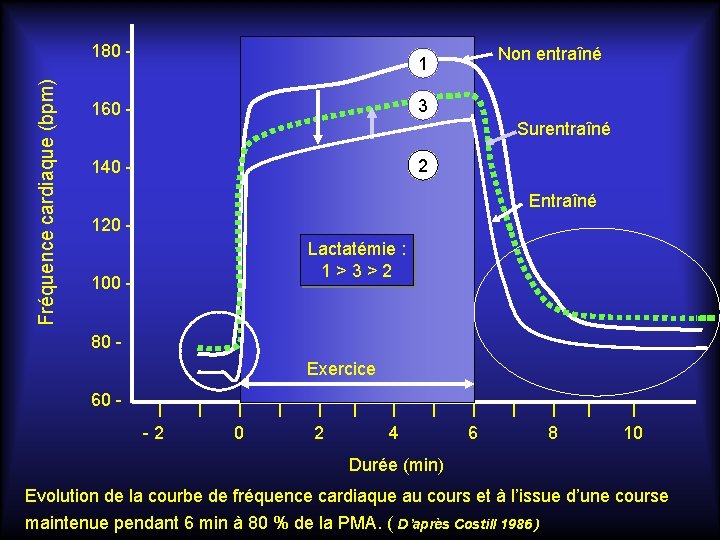 Fréquence cardiaque (bpm) 180 - Non entraîné 1 3 160 - Surentraîné 2 140