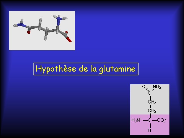 Hypothèse de la glutamine 