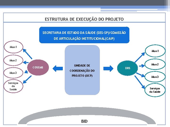 ESTRUTURA DE EXECUÇÃO DO PROJETO SECRETARIA DE ESTADO DA SÁUDE (SES-SP)/COMISSÃO DE ARTICULAÇÃO INSTITUCIONAL(CAIP)