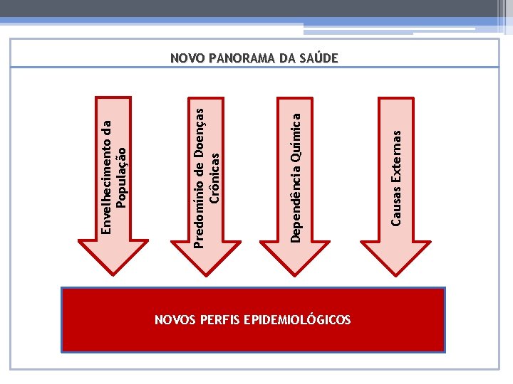 NOVOS PERFIS EPIDEMIOLÓGICOS Causas Externas Dependência Química Predomínio de Doenças Crônicas Envelhecimento da População