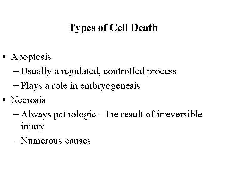Cell Injury Necrosis Department of Pathology S B