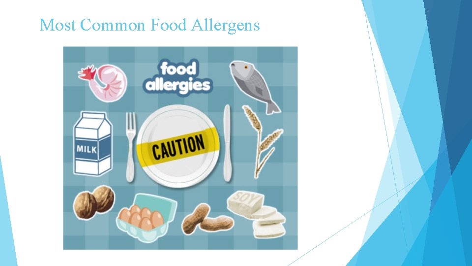 Most Common Food Allergens 