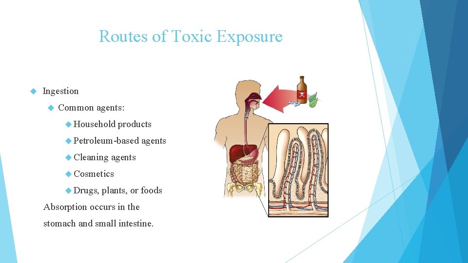 Routes of Toxic Exposure Ingestion Common agents: Household products Petroleum-based Cleaning agents Cosmetics Drugs,