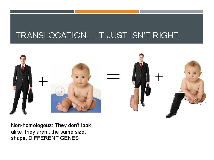 TRANSLOCATION… IT JUST ISN’T RIGHT. Non-homologous: They don’t look alike, they aren’t the same