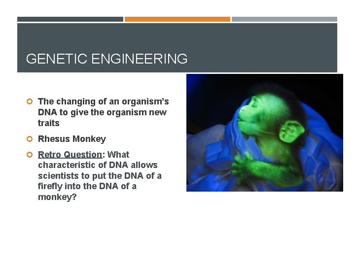 GENETIC ENGINEERING The changing of an organism’s DNA to give the organism new traits