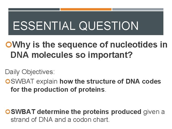 ESSENTIAL QUESTION Why is the sequence of nucleotides in DNA molecules so important? Daily