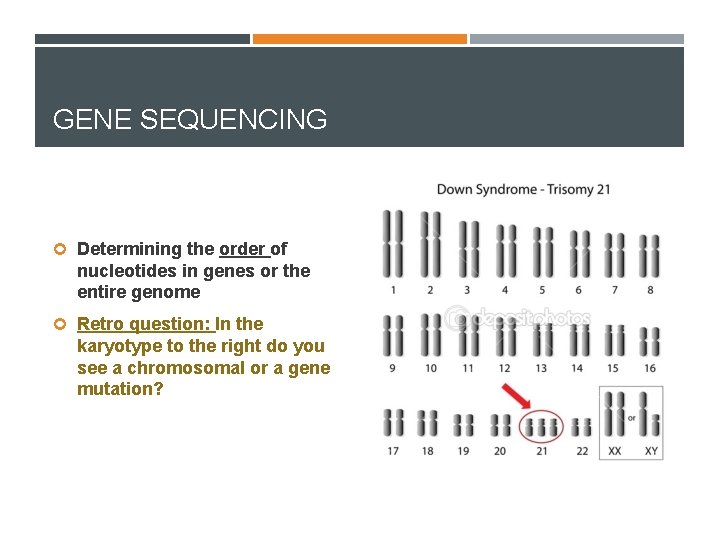 GENE SEQUENCING Determining the order of nucleotides in genes or the entire genome Retro