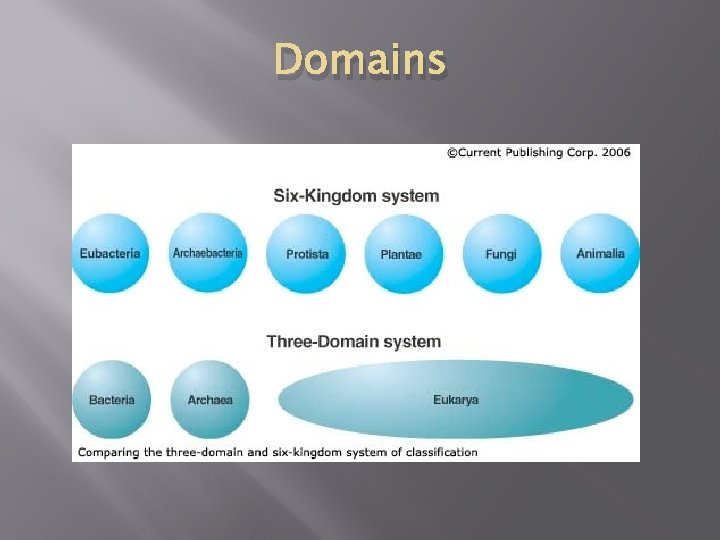 Domains 