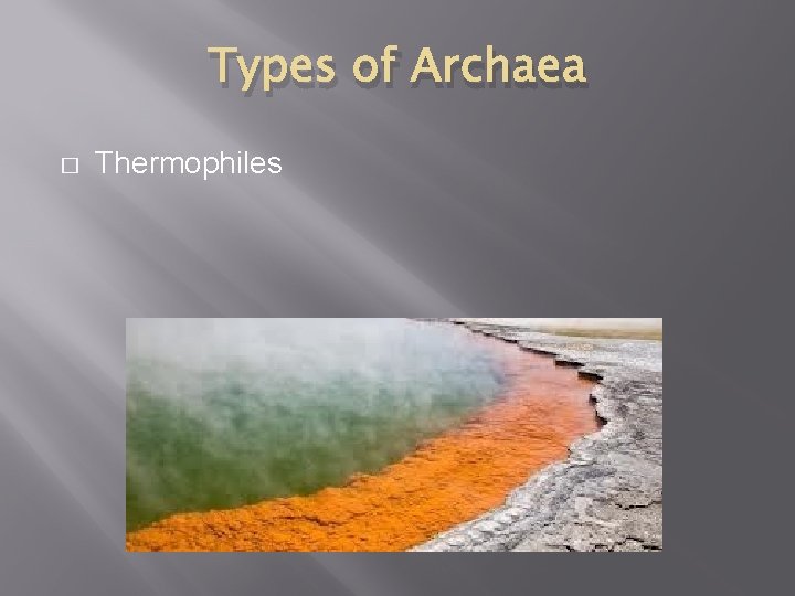 Types of Archaea � Thermophiles 