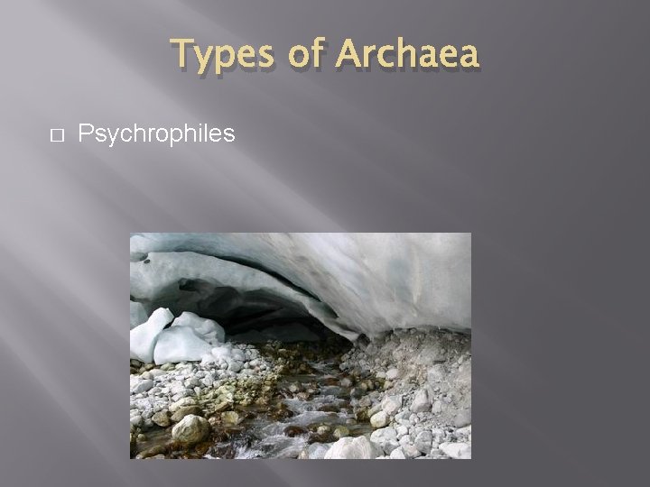 Types of Archaea � Psychrophiles 