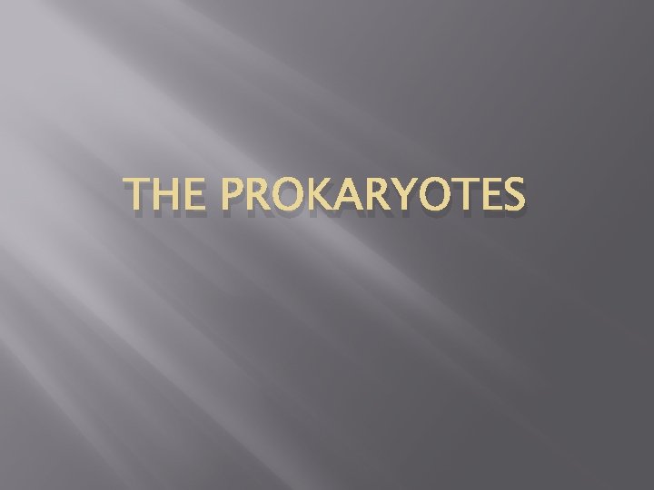 THE PROKARYOTES 