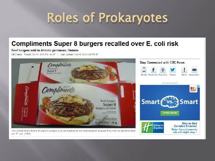 Roles of Prokaryotes 