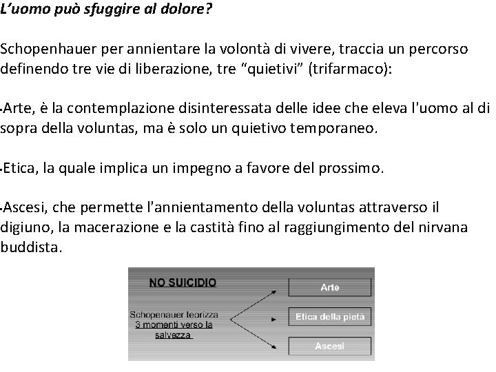 L’uomo può sfuggire al dolore? Schopenhauer per annientare la volontà di vivere, traccia un