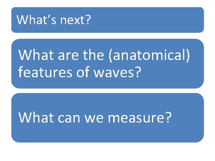 What’s next? What are the (anatomical) features of waves? What can we measure? 