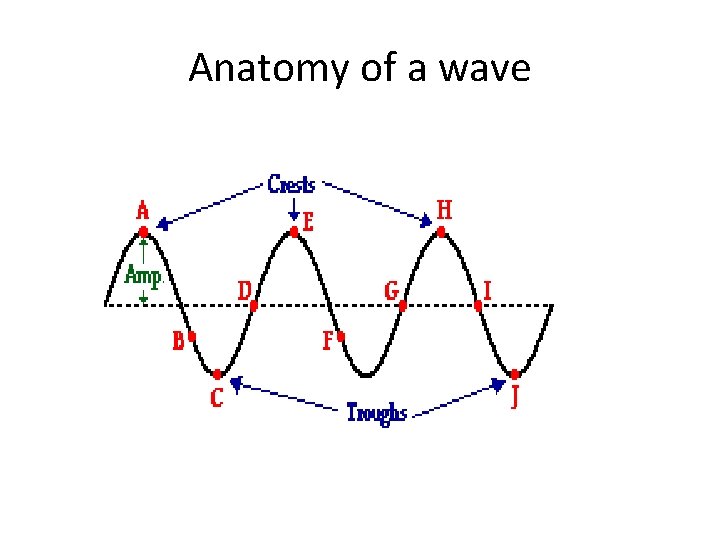 Anatomy of a wave 