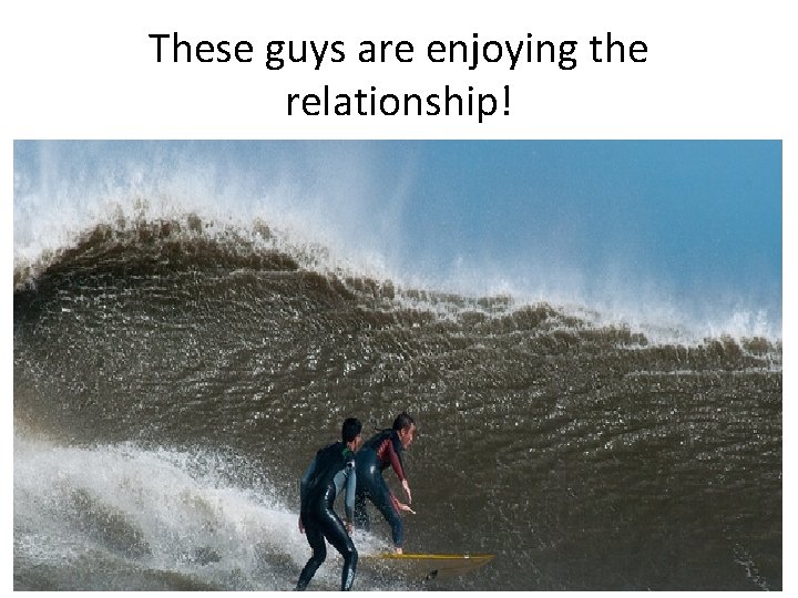 These guys are enjoying the relationship! 