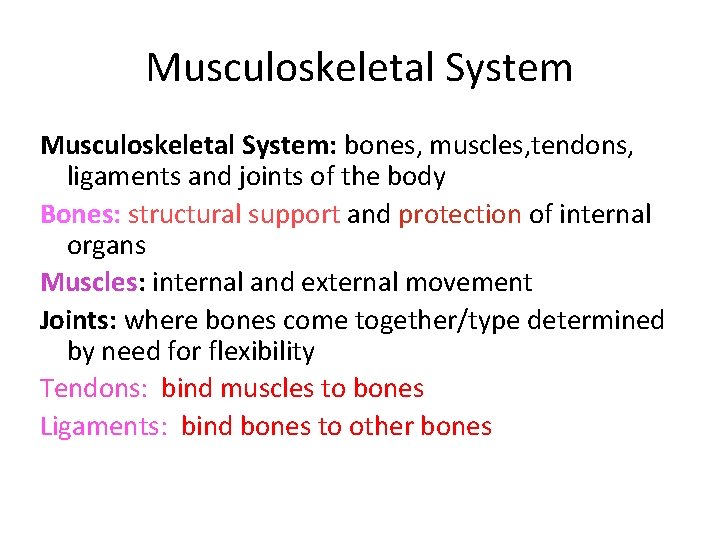 Musculoskeletal System: bones, muscles, tendons, ligaments and joints of the body Bones: structural support
