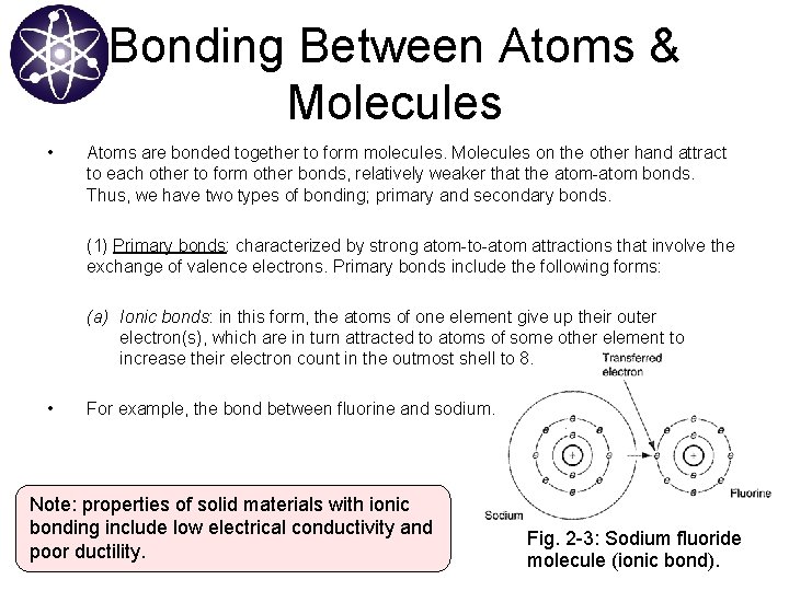 Bonding Between Atoms & Molecules • Atoms are bonded together to form molecules. Molecules