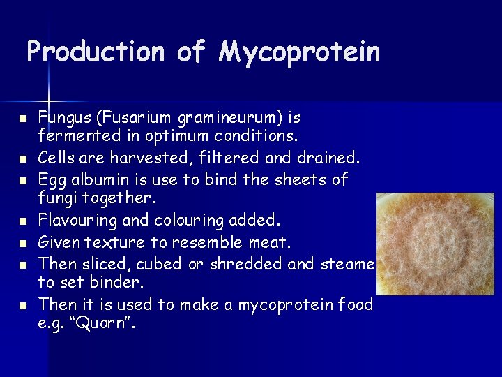 Production of Mycoprotein n n n Fungus (Fusarium gramineurum) is fermented in optimum conditions.