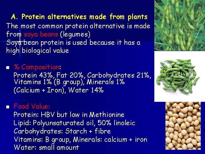 A. Protein alternatives made from plants The most common protein alternative is made from