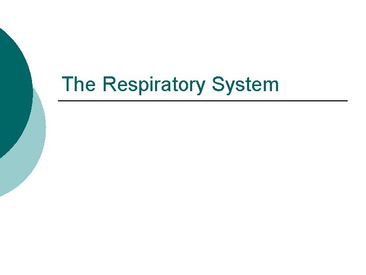 The Respiratory System The Respiratory System