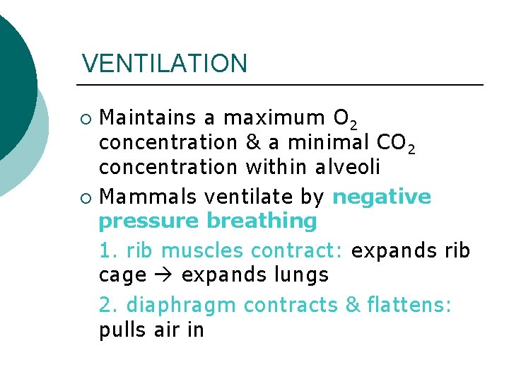 VENTILATION Maintains a maximum O 2 concentration & a minimal CO 2 concentration within